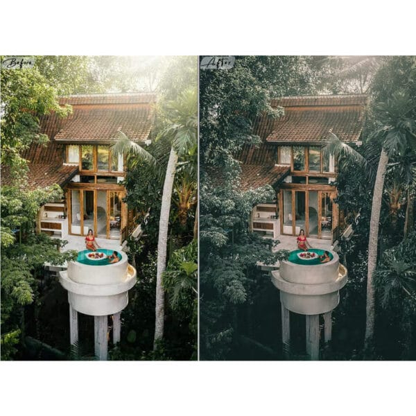 2 Moody Traveling Lightroom Presets For Mobile / Desktop Lightroom .DNG .XMP - Image 4