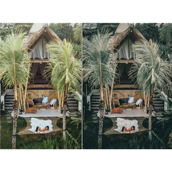 2 Moody Traveling Lightroom Presets For Mobile / Desktop Lightroom .DNG .XMP - Image 6