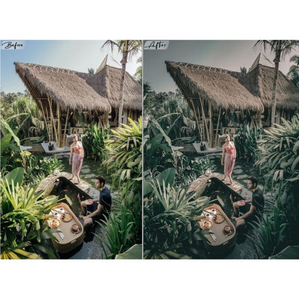 2 Moody Traveling Lightroom Presets For Mobile / Desktop Lightroom .DNG .XMP - Image 8