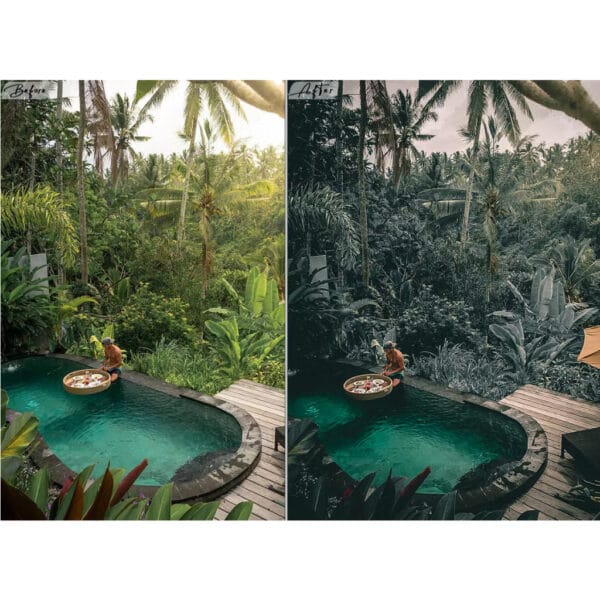 2 Moody Traveling Lightroom Presets For Mobile / Desktop Lightroom .DNG .XMP - Image 9
